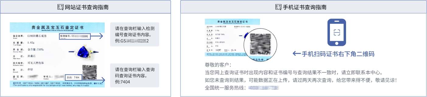 查询指南.jpg
